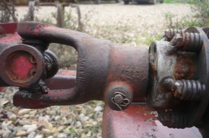 photo paddestoelen 010