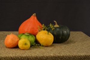 Foto by Sarah Meihuizen