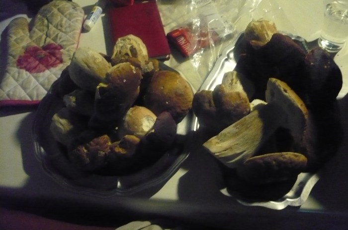 photo paddestoelen 001